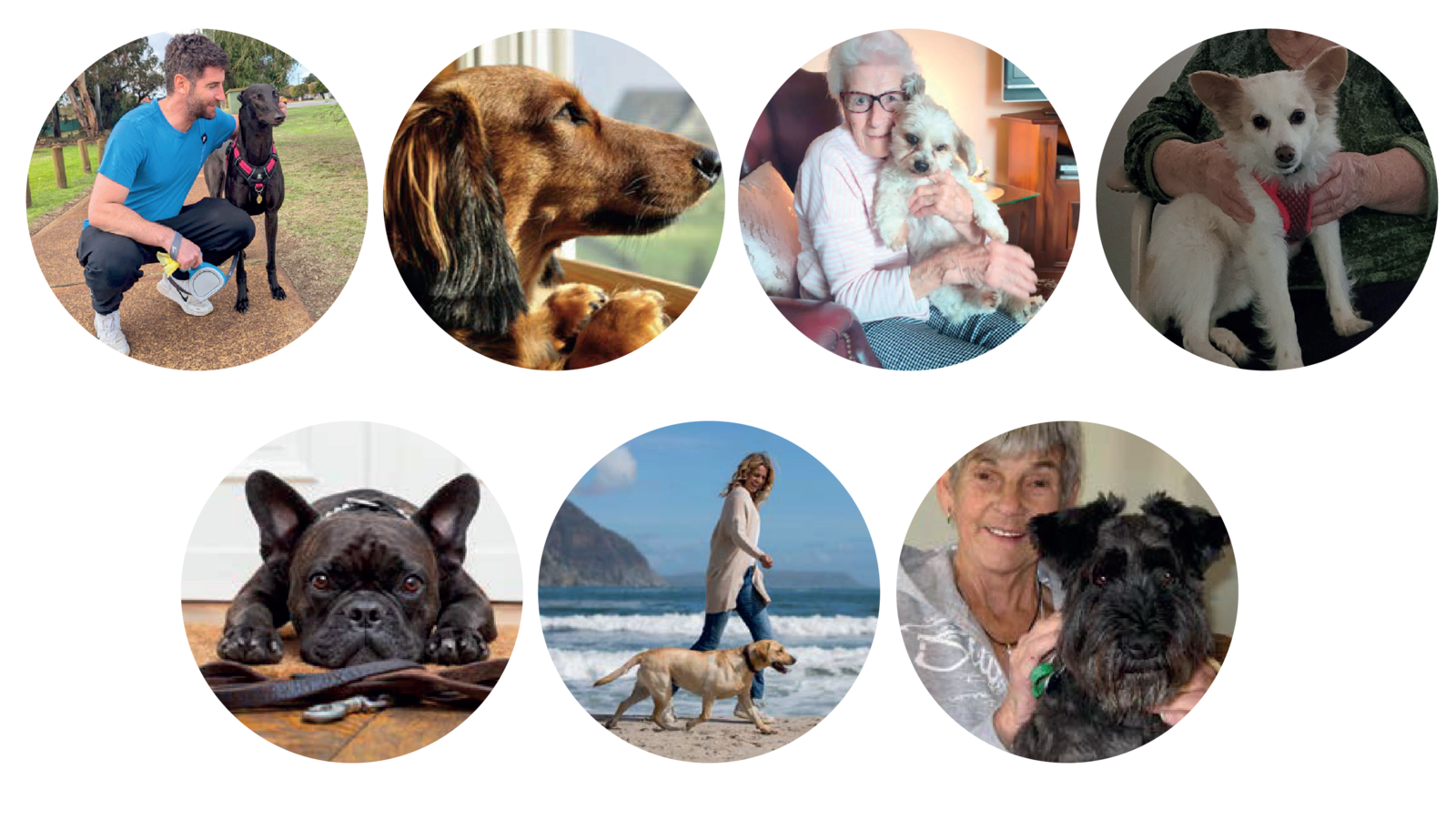 Bubbles with photos of pets & older ladies holding there pets 